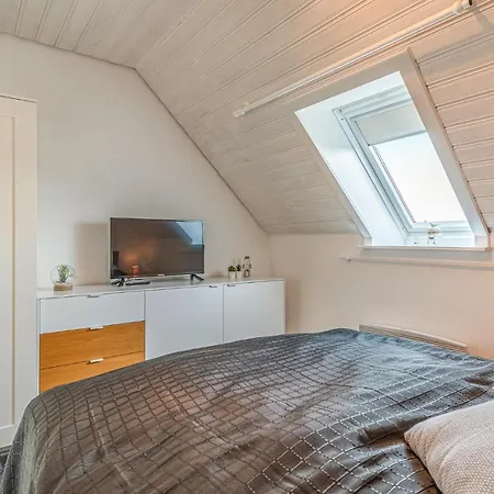 Amazing In With Kitchen Apartment *